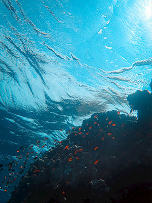 3133cc拉斯维加斯·(中国游)官方网站