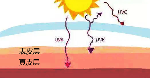3133cc拉斯维加斯·(中国游)官方网站