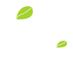 3133cc拉斯维加斯·(中国游)官方网站